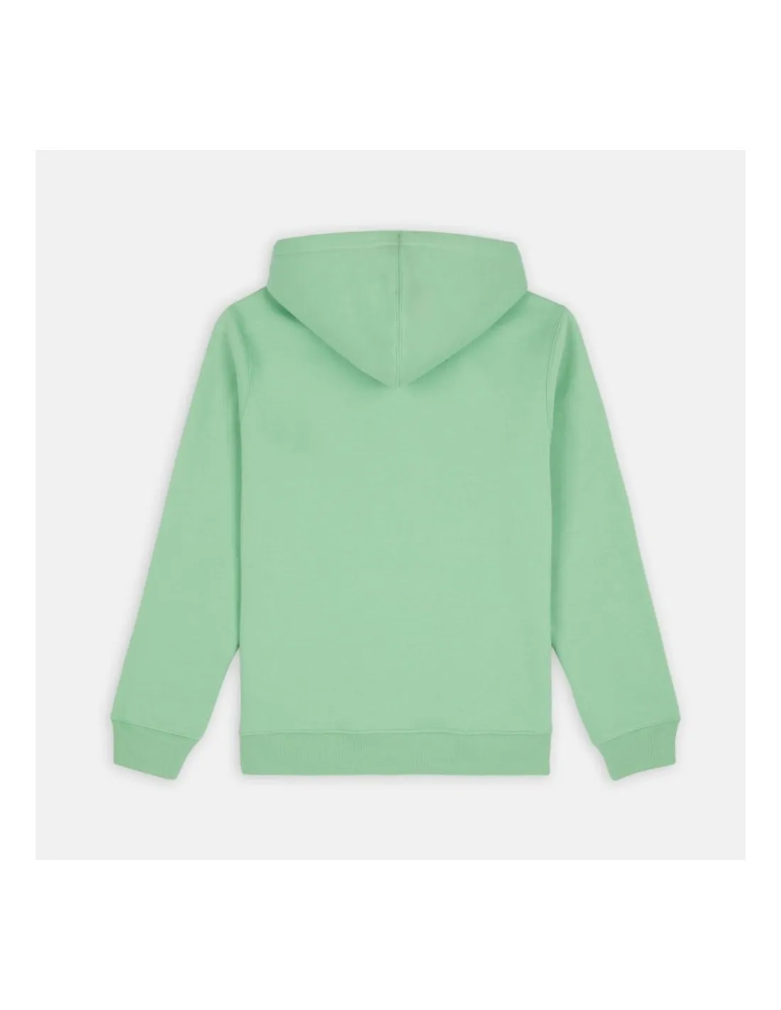 Felpa con cappuccio Dickies Oakport Apple Mint