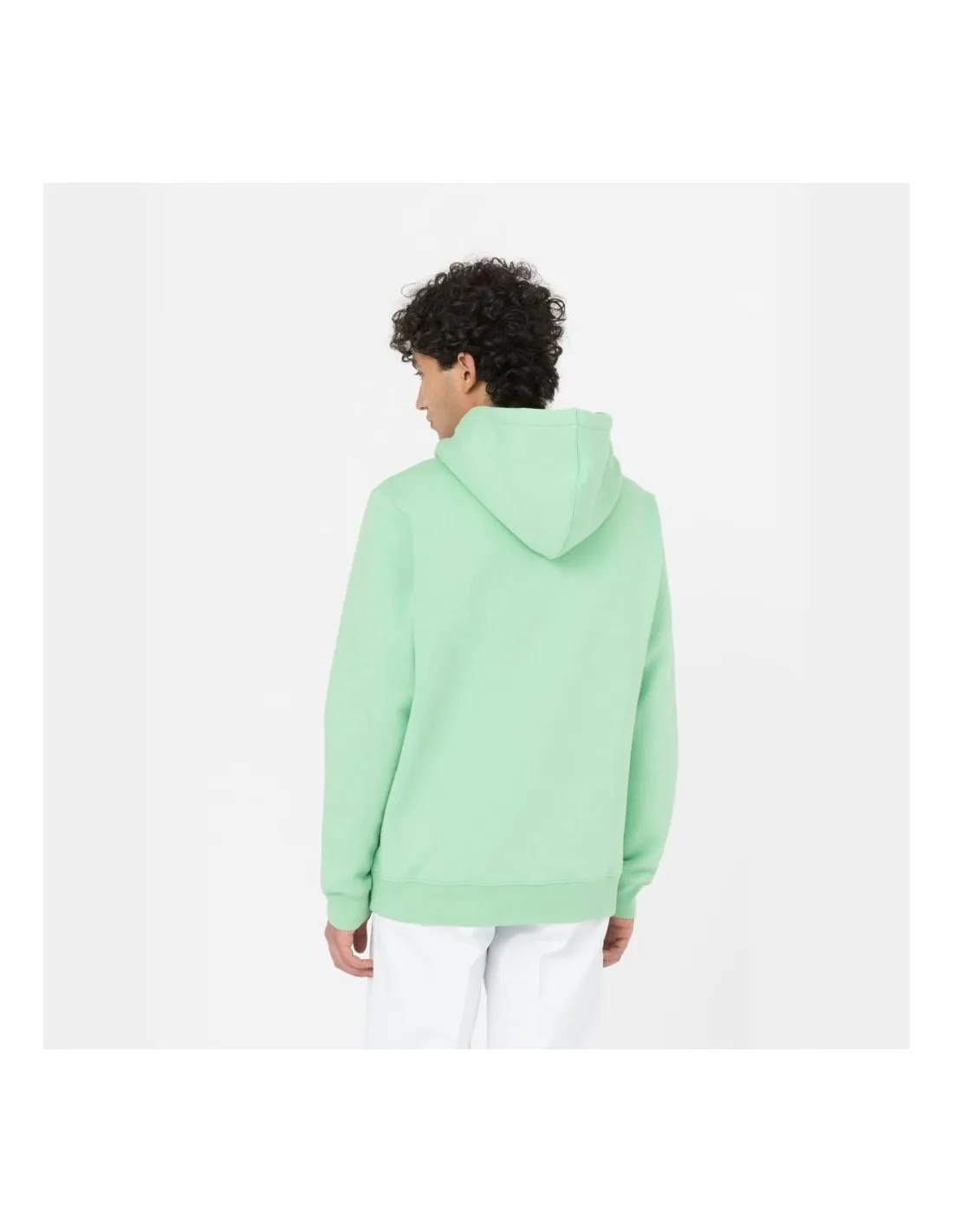 Felpa con cappuccio Dickies Oakport Apple Mint