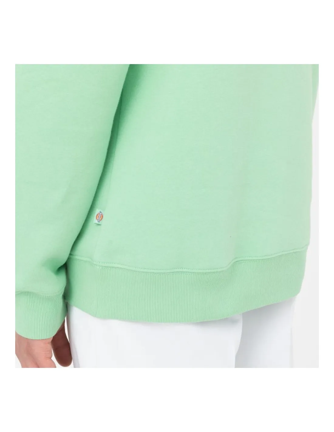 Felpa con cappuccio Dickies Oakport Apple Mint