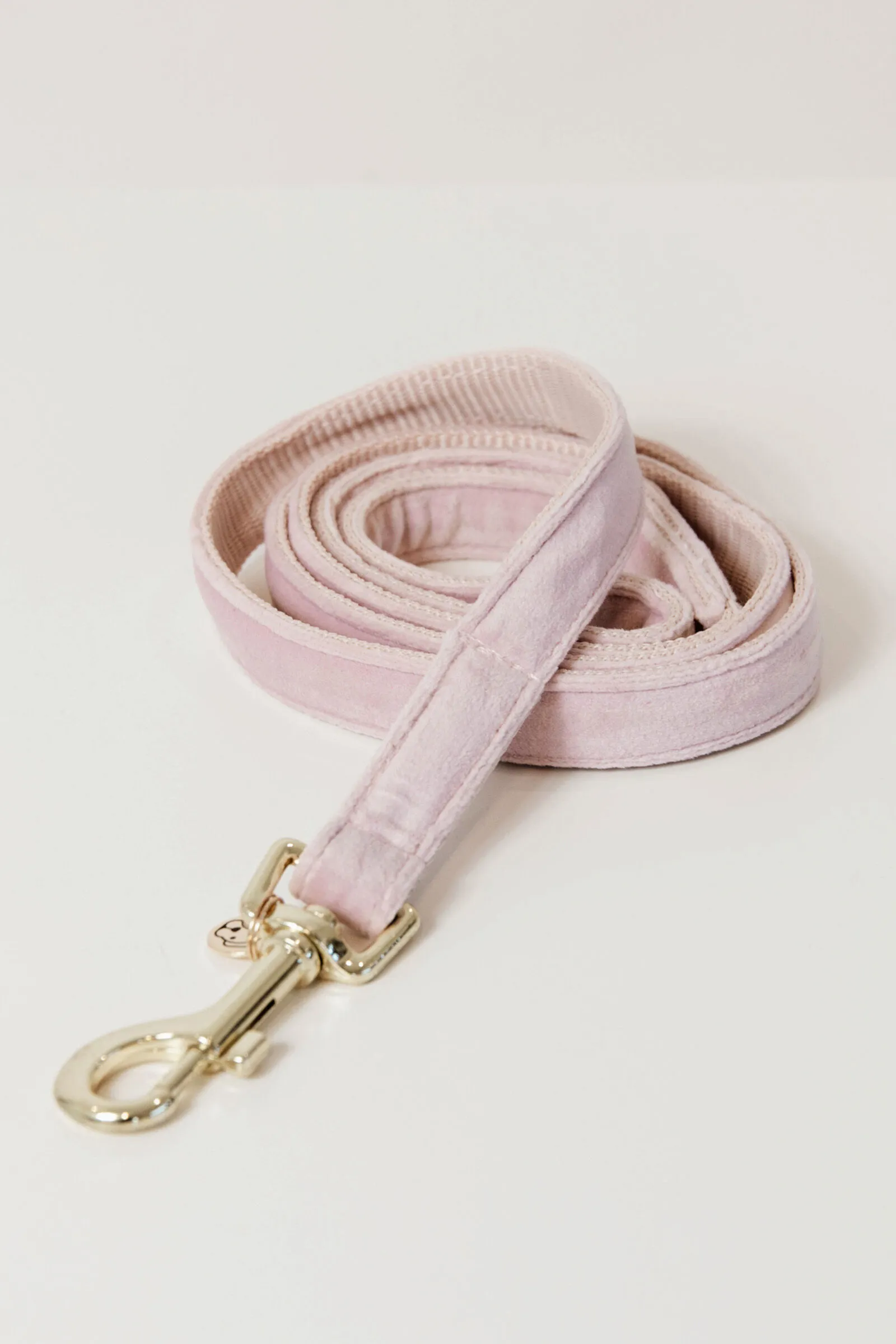Kentucky Dogwear guinzaglio per cani in velluto