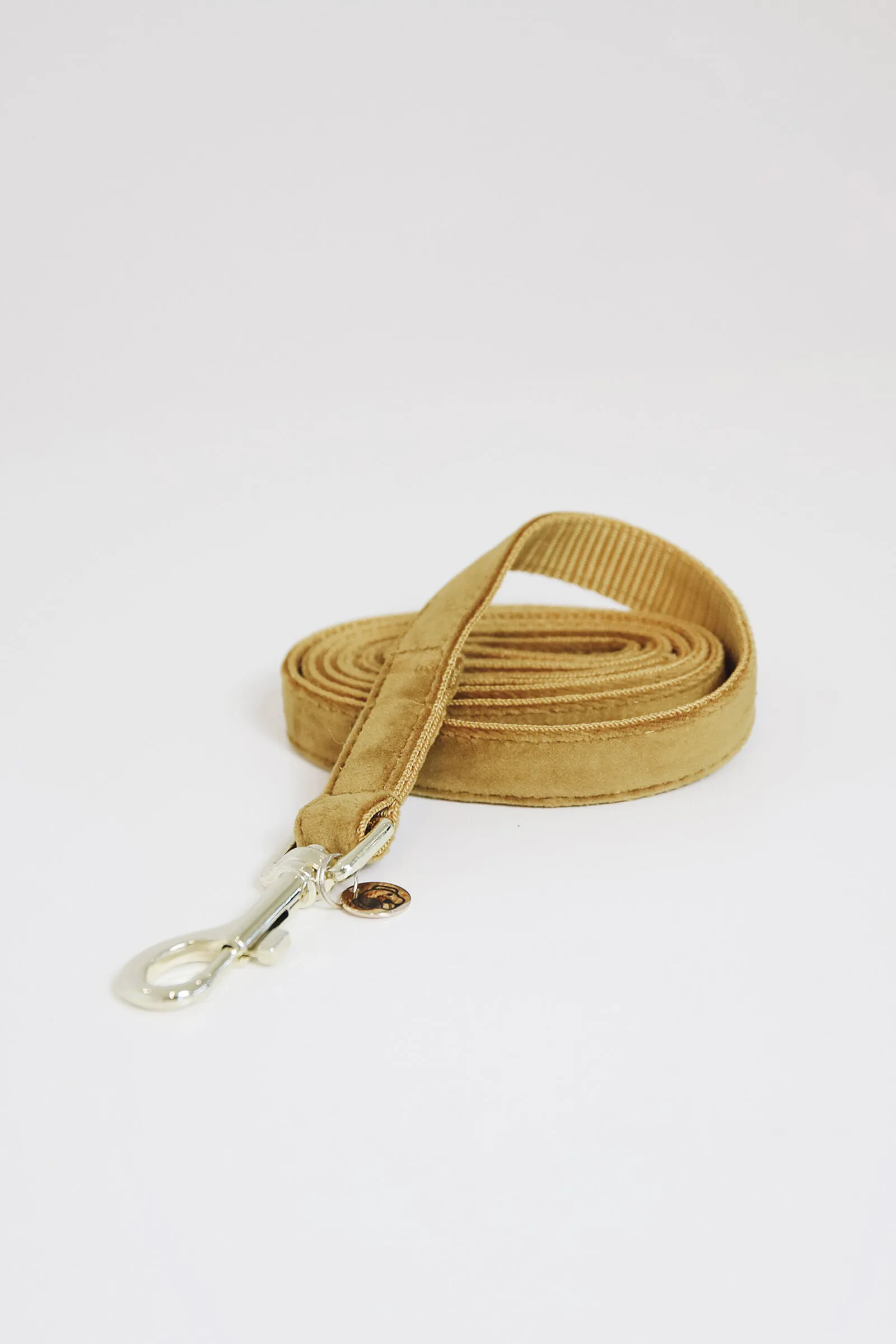 Kentucky Dogwear guinzaglio per cani in velluto