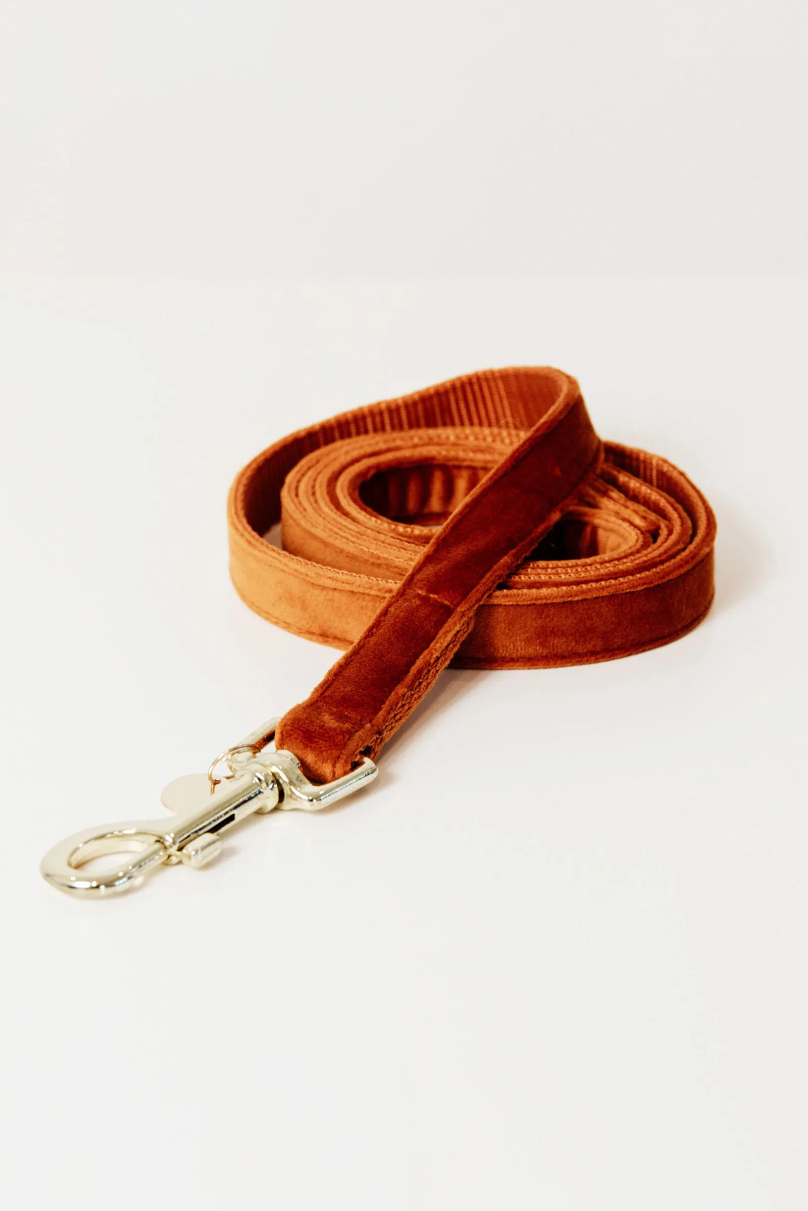 Kentucky Dogwear guinzaglio per cani in velluto
