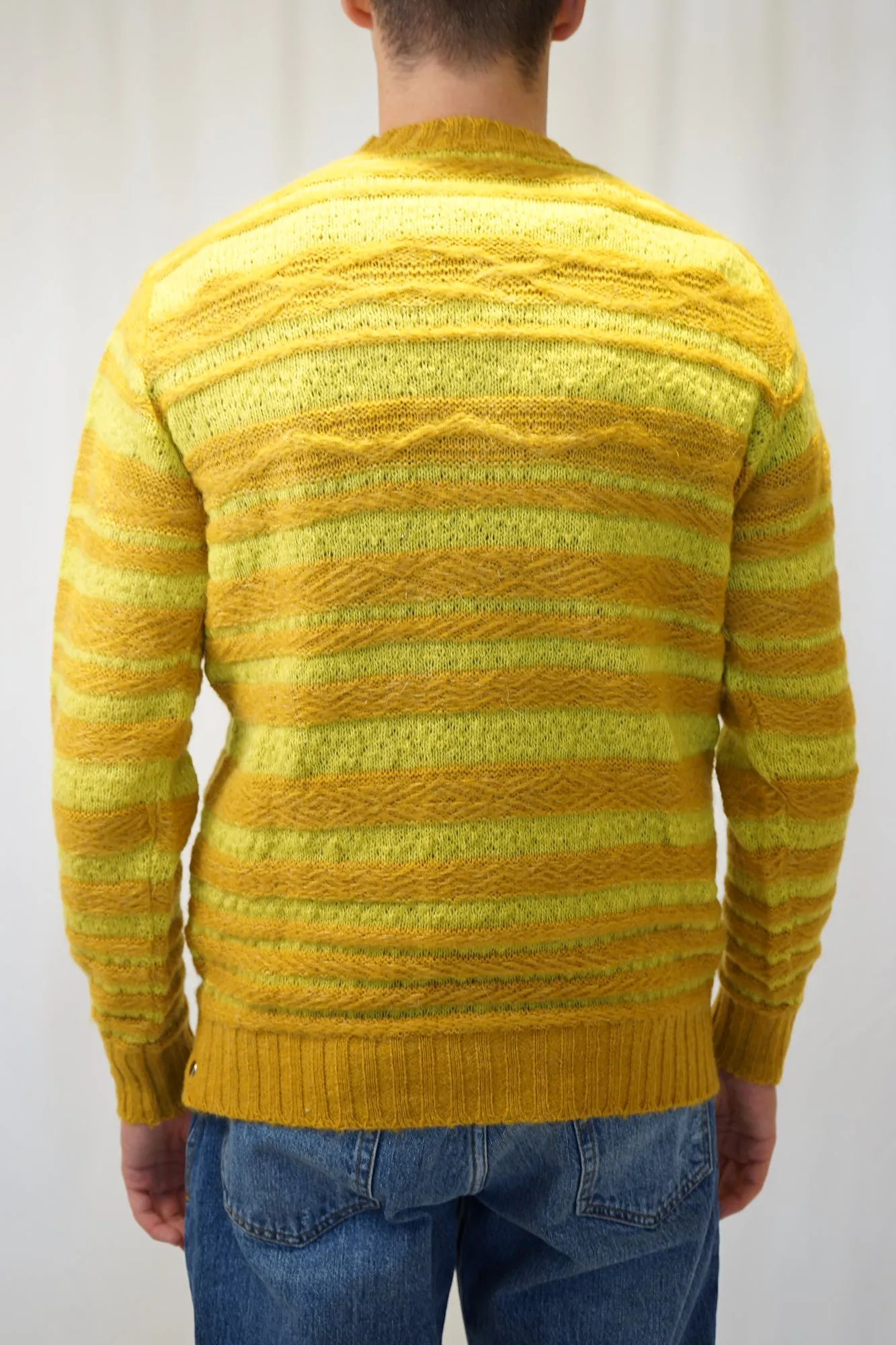 Maglia giro collo Darwin