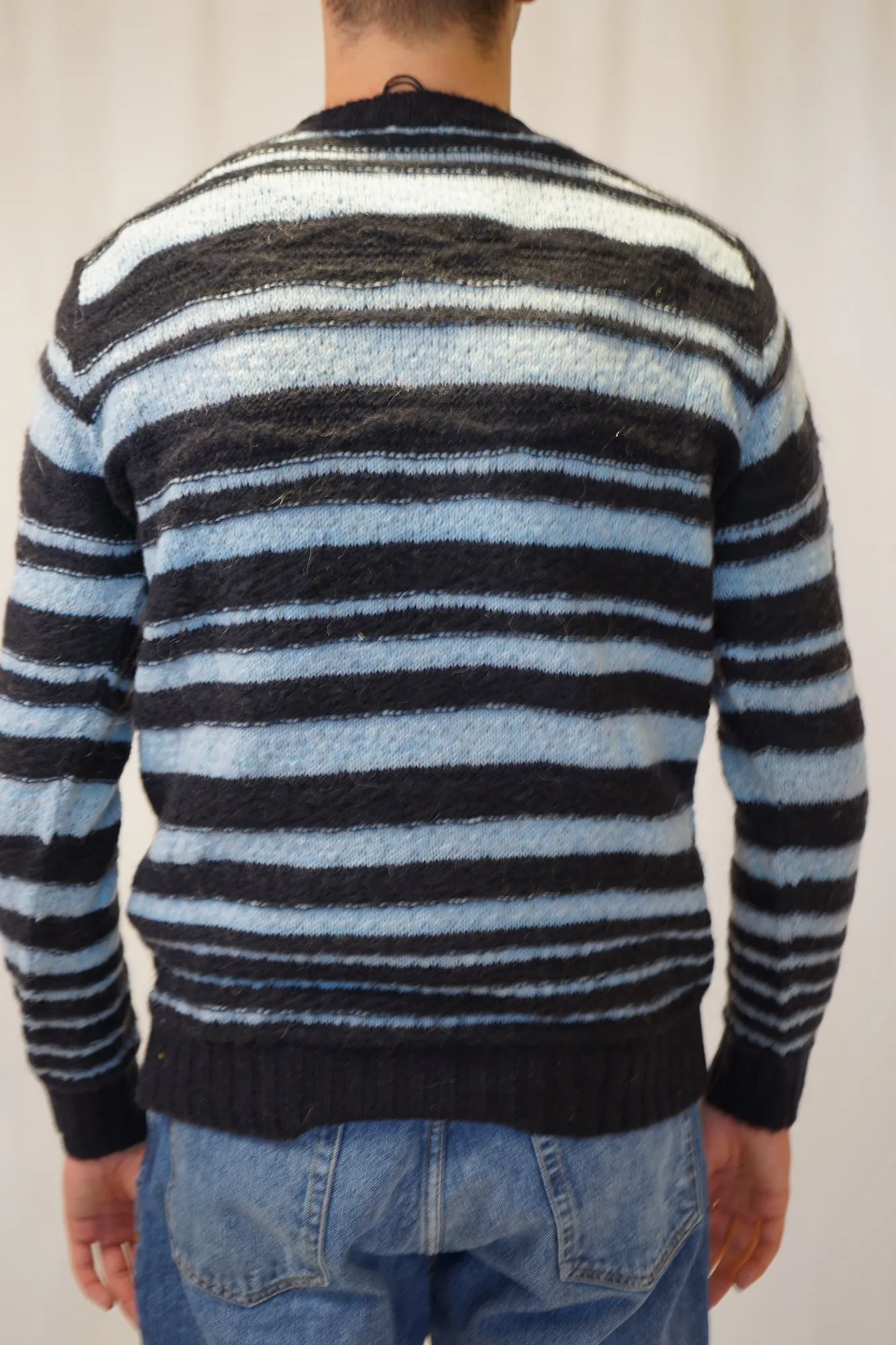 Maglia giro collo Darwin