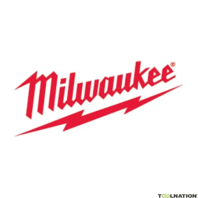 Milwaukee Accessori 4932499317 Chiodi a tamburo ad asse liscio zincati 15° testa tonda 3,05x25mm 2160 pezzi